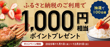 期間中、「ふるさと納税」ご利用金額10,000円以上の方の中から、抽選で100名様に1,000円相当のポイントをプレゼントいたします。